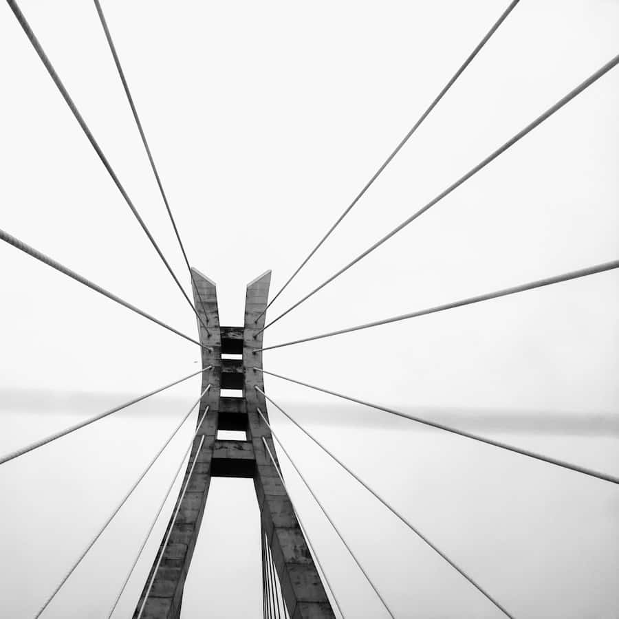 The Lekki-Ikoyi Link Bridge, Lagos, seen from below its pylon